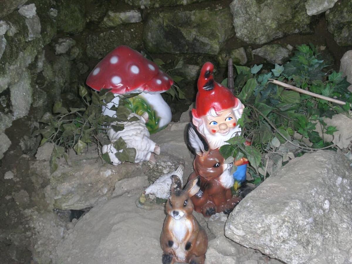 Bauernhofpension Runenhof Haidmühle Εξωτερικό φωτογραφία